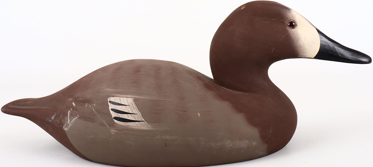 Item 6198 (Ended 20240531 231101) Canvasback Hen by Hornick