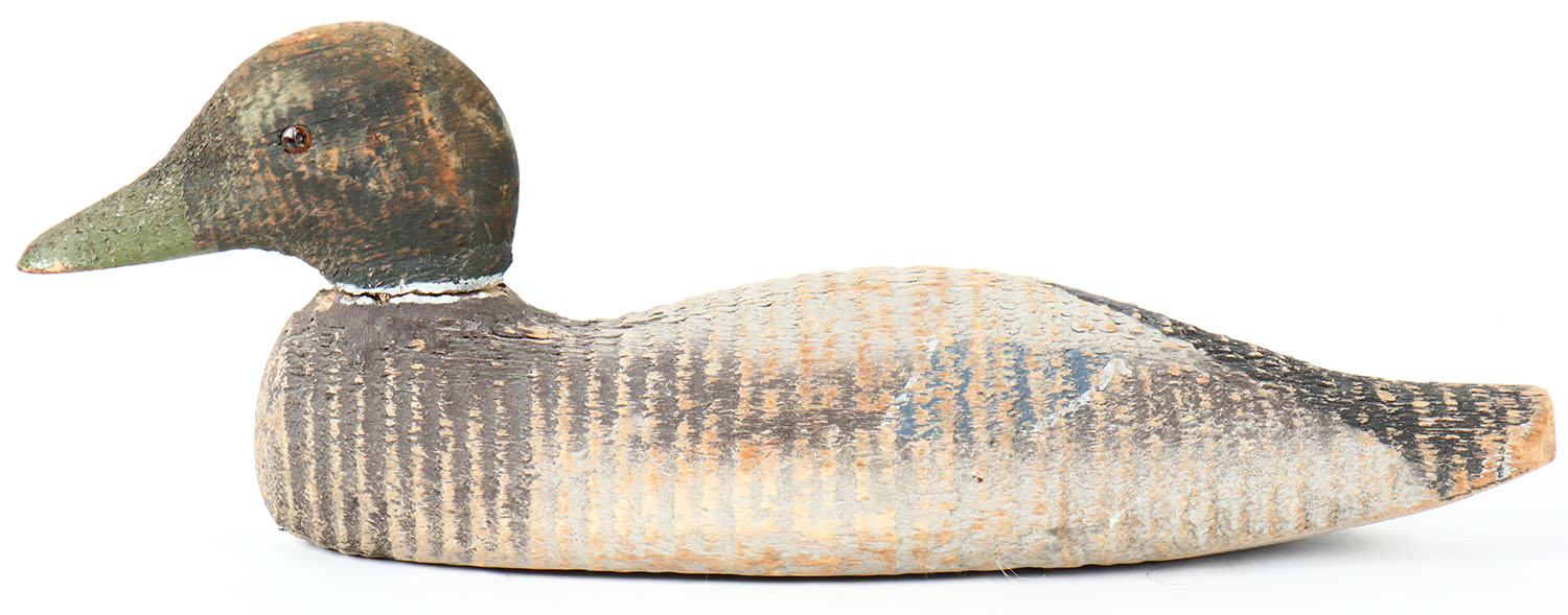 Item 6449 (Ended 20240830 170100) Mallard Drake by Victor